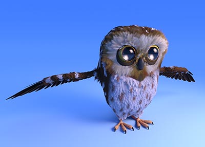 owl